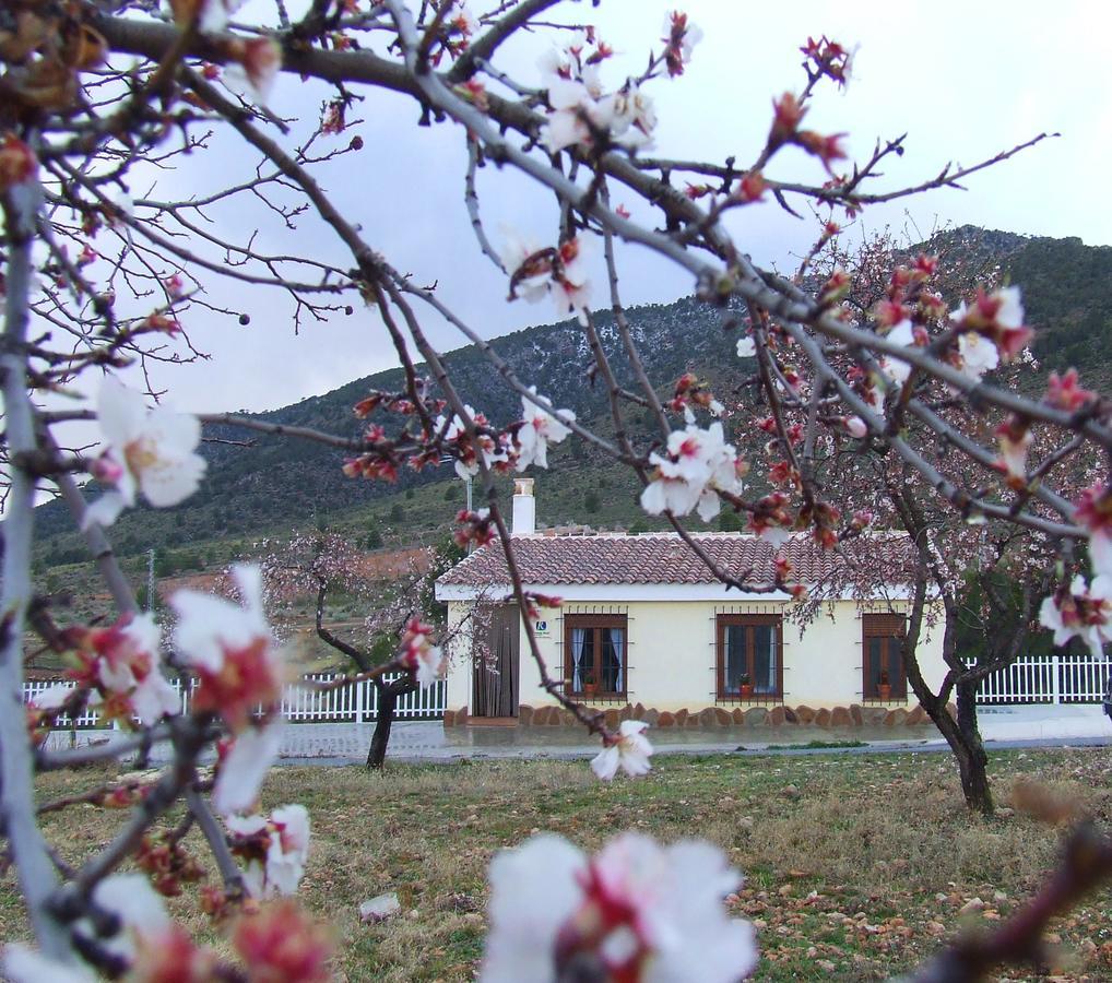Penzion Vivienda Rural Embalse San Clemente Huéscar Exteriér fotografie